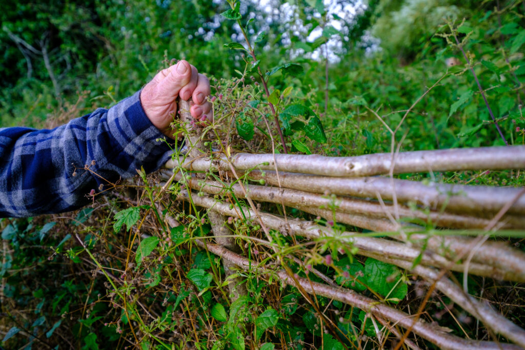 Woven fence