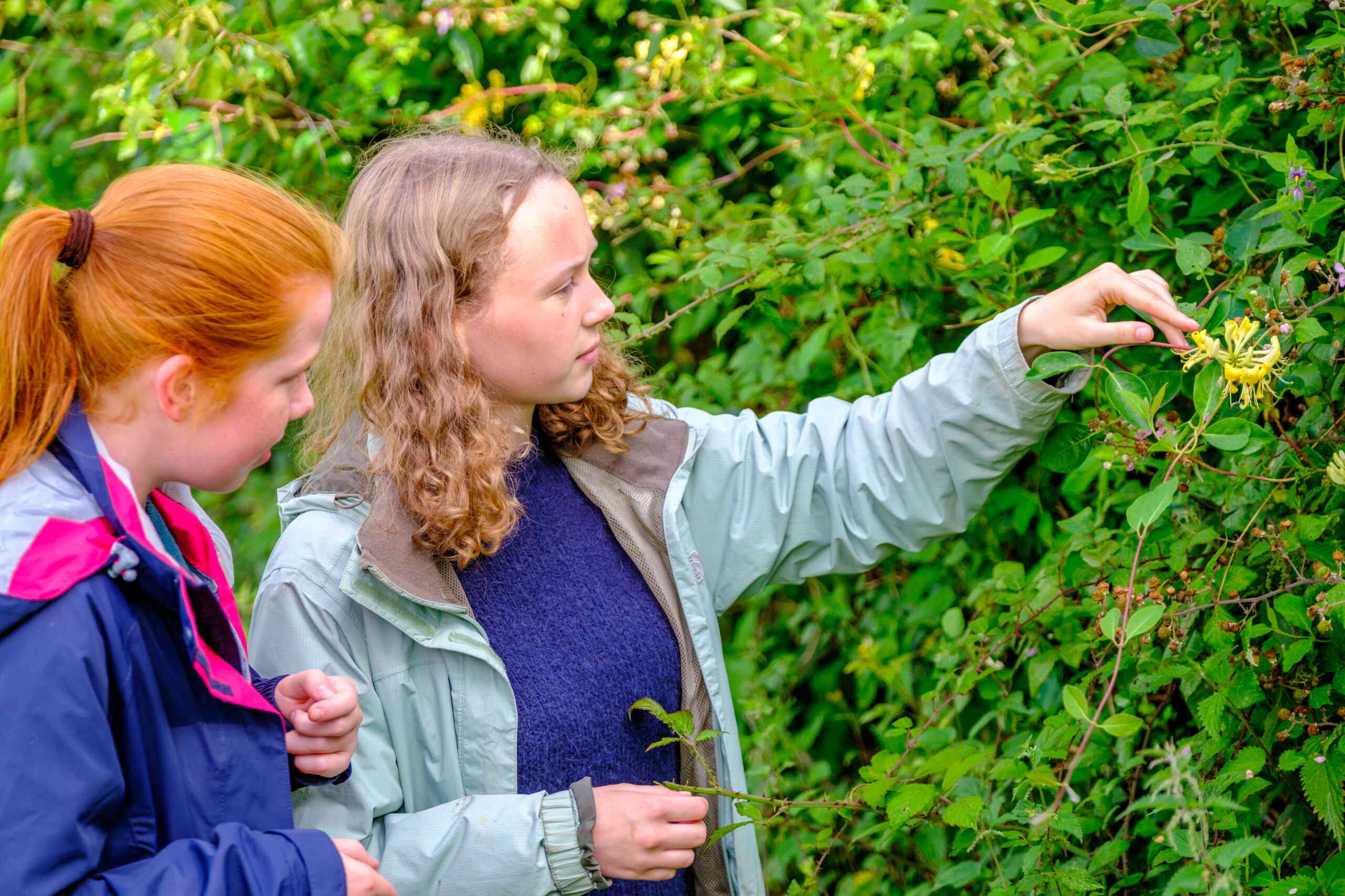 Two young girls looking at hedgerow flowers