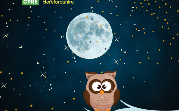 Cartoon owl with moon and stars behind