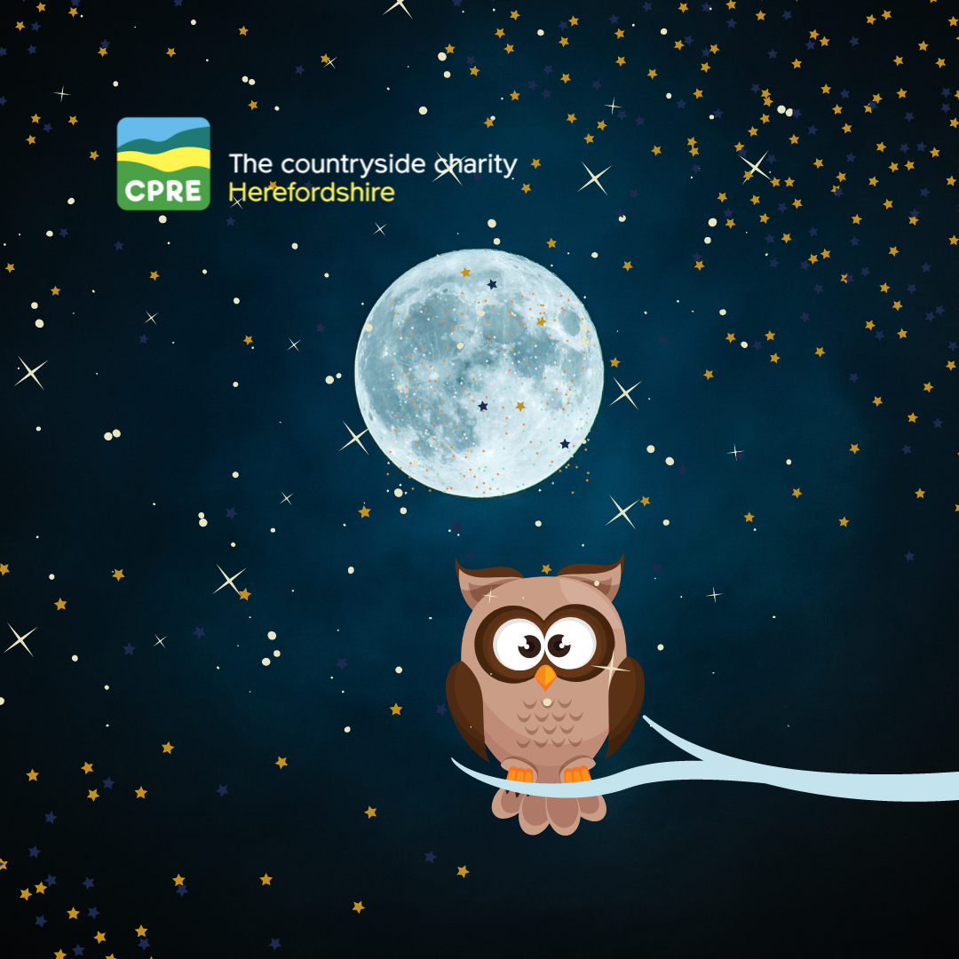 Cartoon owl with moon and stars behind