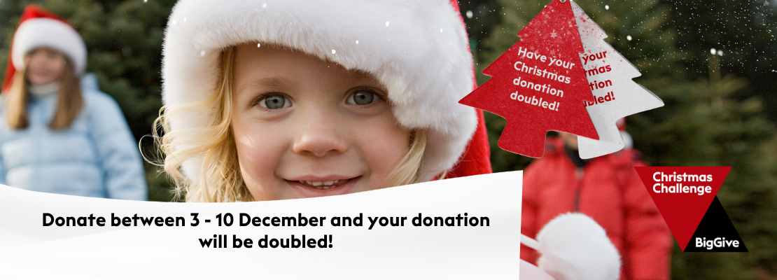 Double your donation to our Hedgerow Heroes project with the Big Give Christmas Campaign