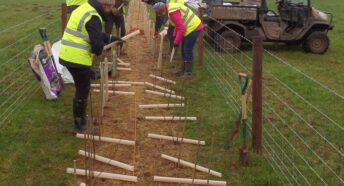 CPRE Herefordshire Hedgerow Heroes